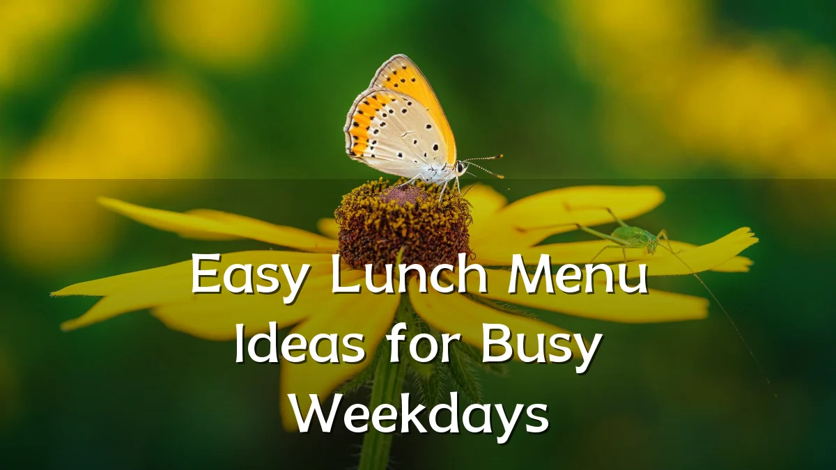 Easy Lunch Menu Ideas for Busy Weekdays
