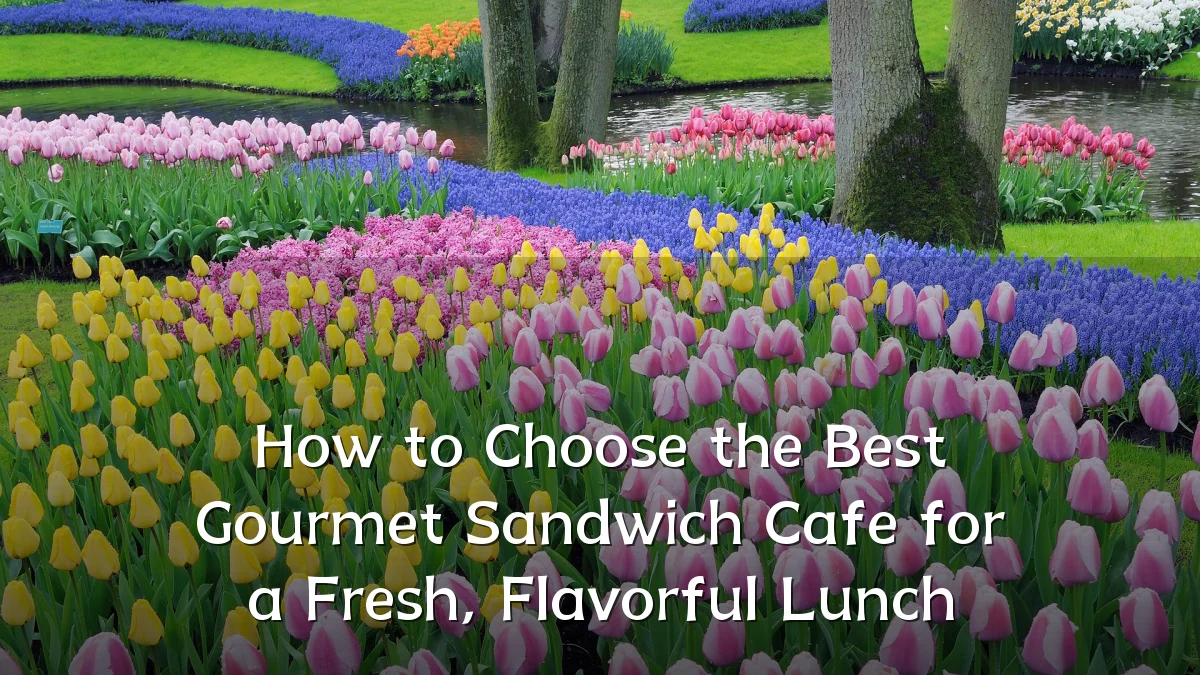 How to Choose the Best Gourmet Sandwich Cafe for a Fresh, Flavorful Lunch