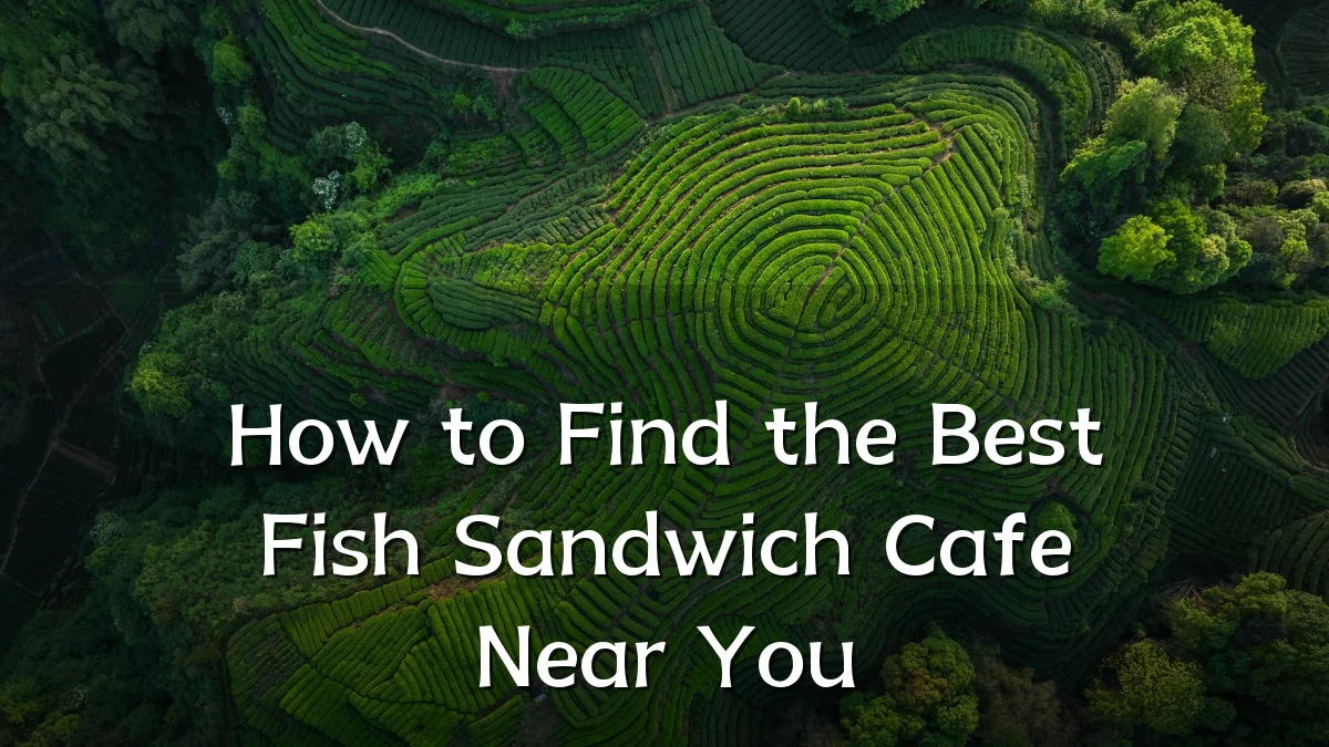How to Find the Best Fish Sandwich Cafe Near You