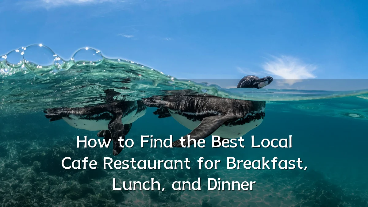 How to Find the Best Local Cafe Restaurant for Breakfast, Lunch, and Dinner