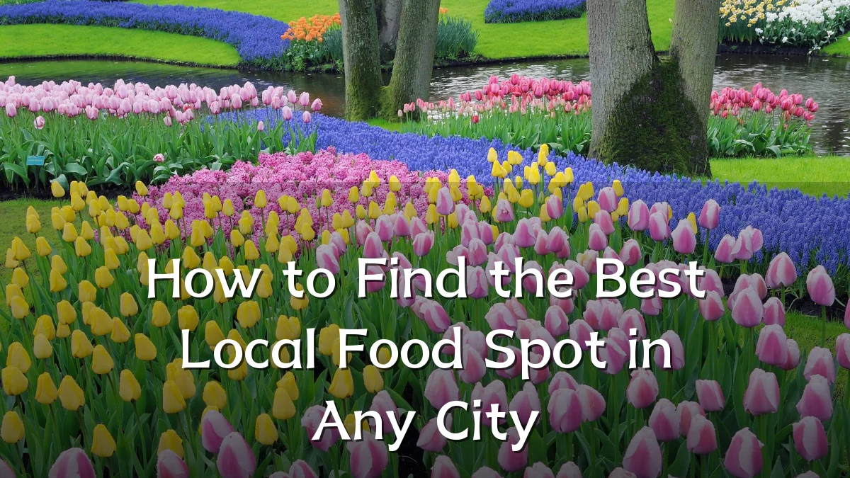 How to Find the Best Local Food Spot in Any City