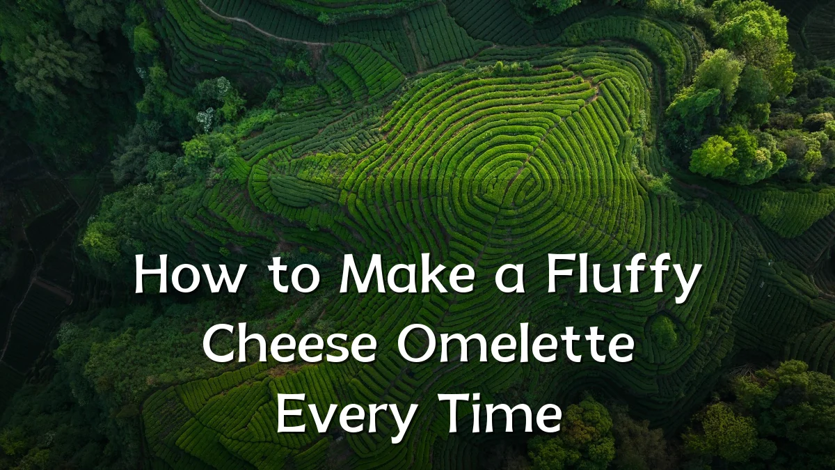 How to Make a Fluffy Cheese Omelette Every Time
