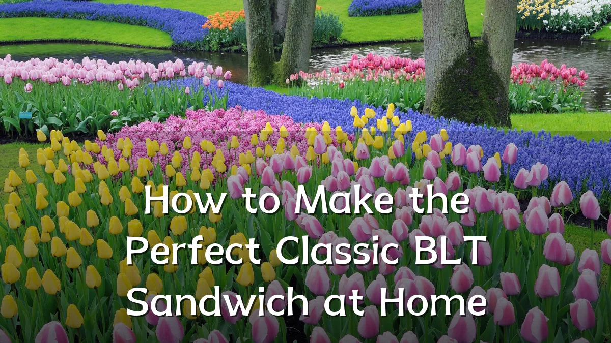 How to Make the Perfect Classic BLT Sandwich at Home