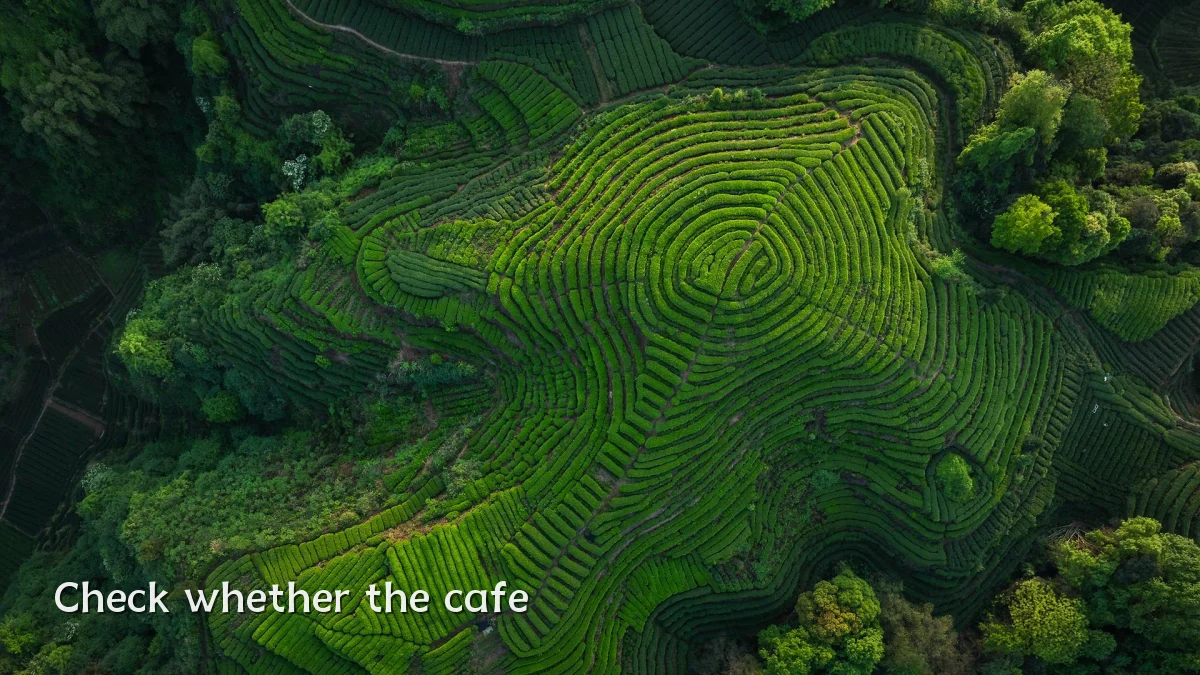 Check whether the cafe