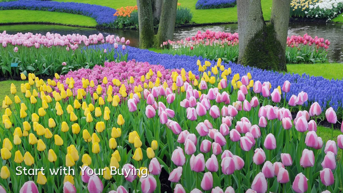 Start with Your Buying