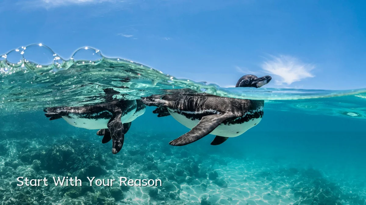 Start With Your Reason