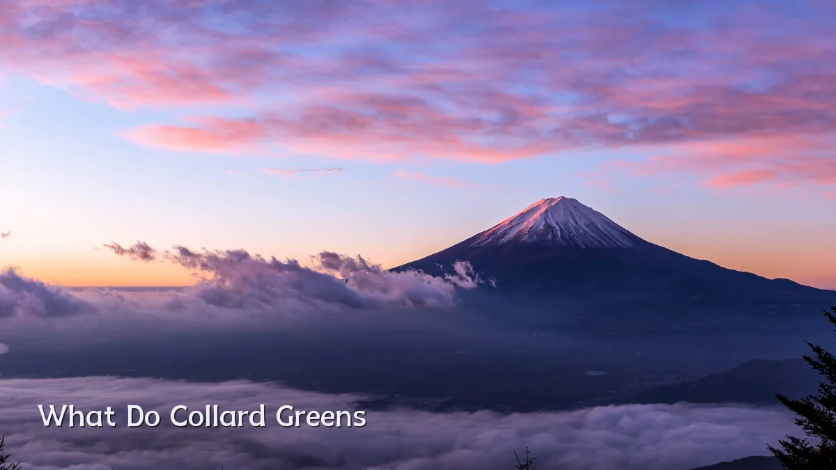 What Do Collard Greens