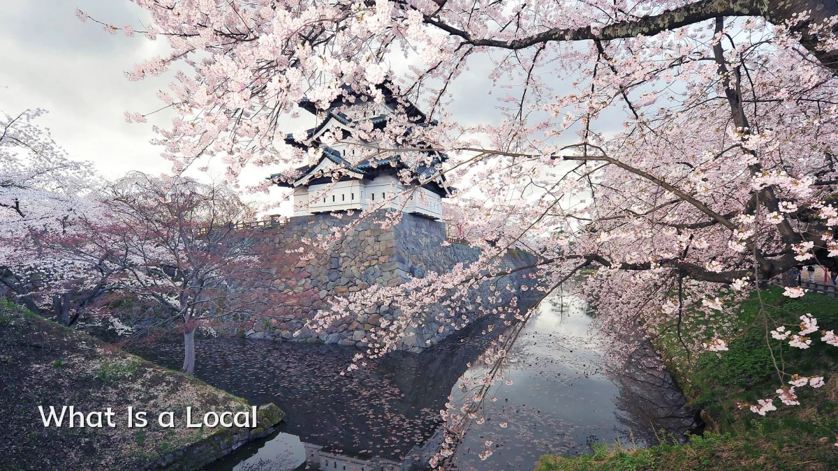 What Is a Local