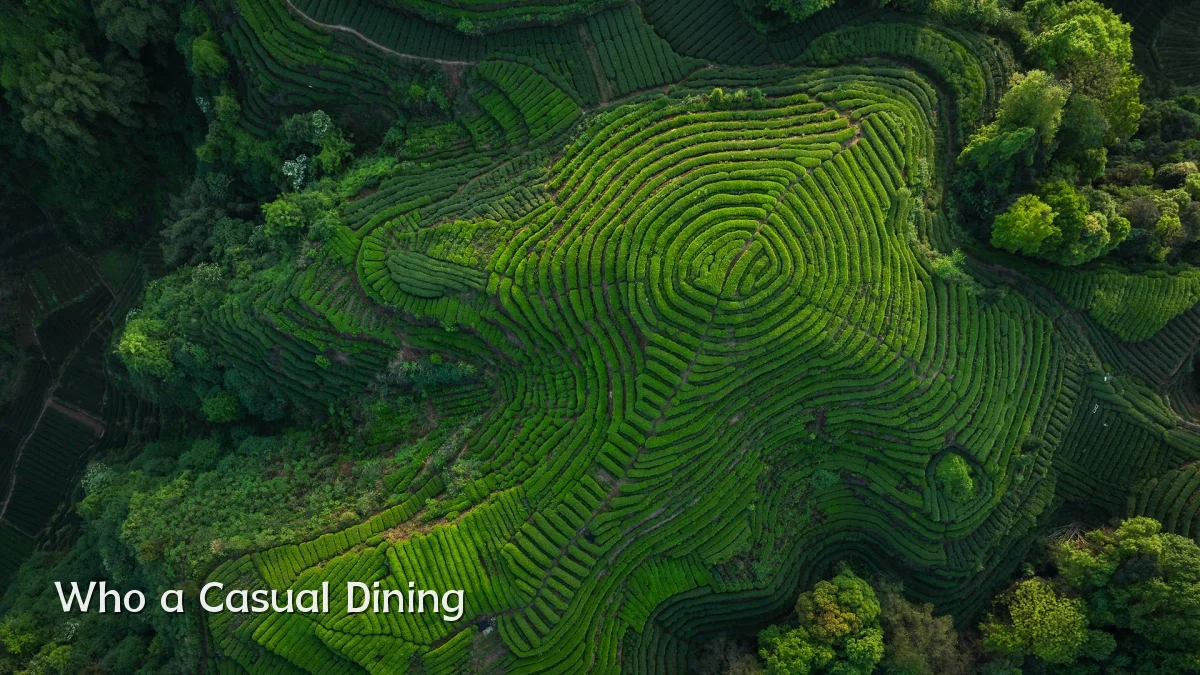 Who a Casual Dining