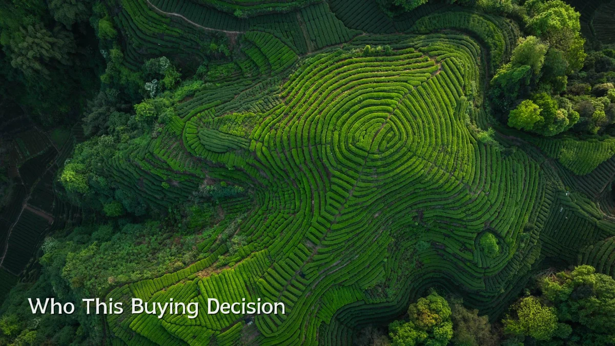 Who This Buying Decision