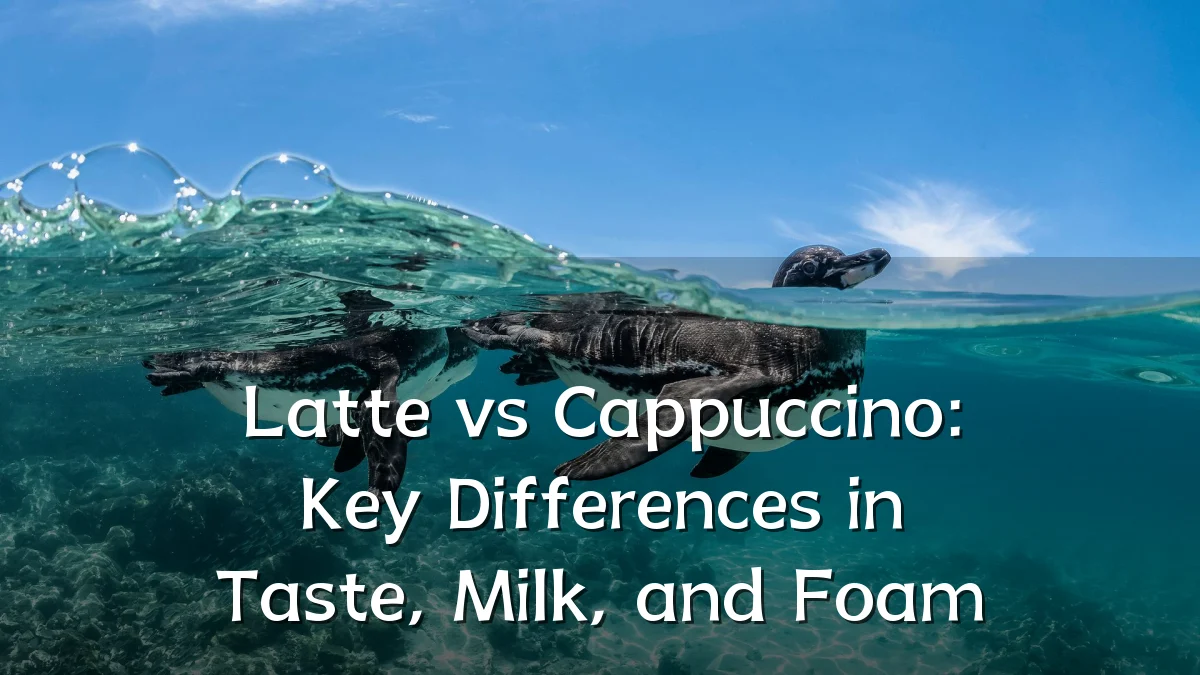 Latte vs Cappuccino: Key Differences in Taste, Milk, and Foam