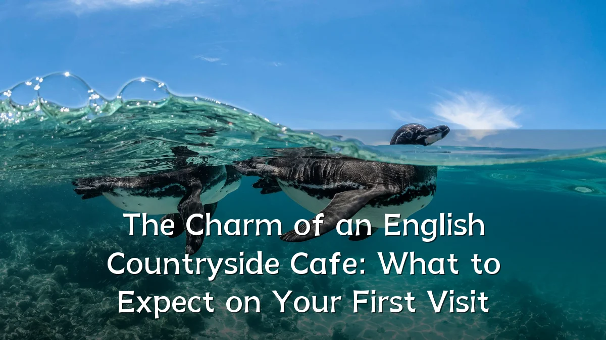 The Charm of an English Countryside Cafe: What to Expect on Your First Visit