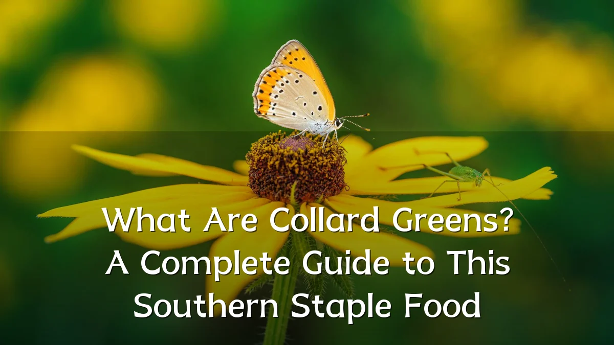 What Are Collard Greens? A Complete Guide to This Southern Staple Food