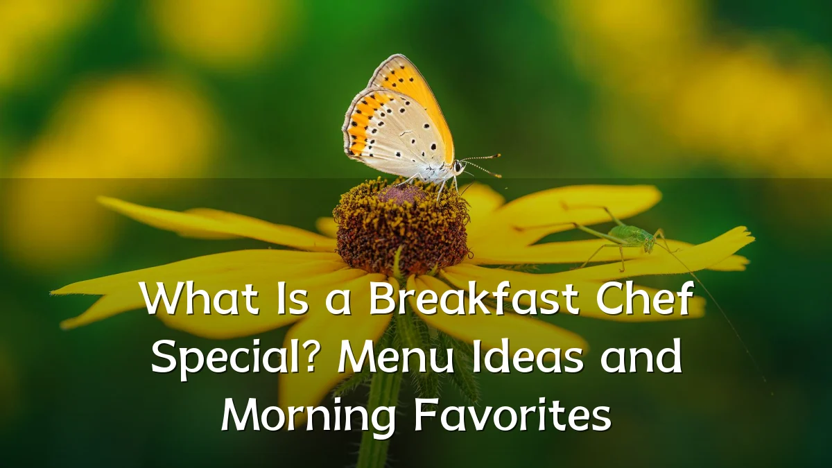 What Is a Breakfast Chef Special? Menu Ideas and Morning Favorites