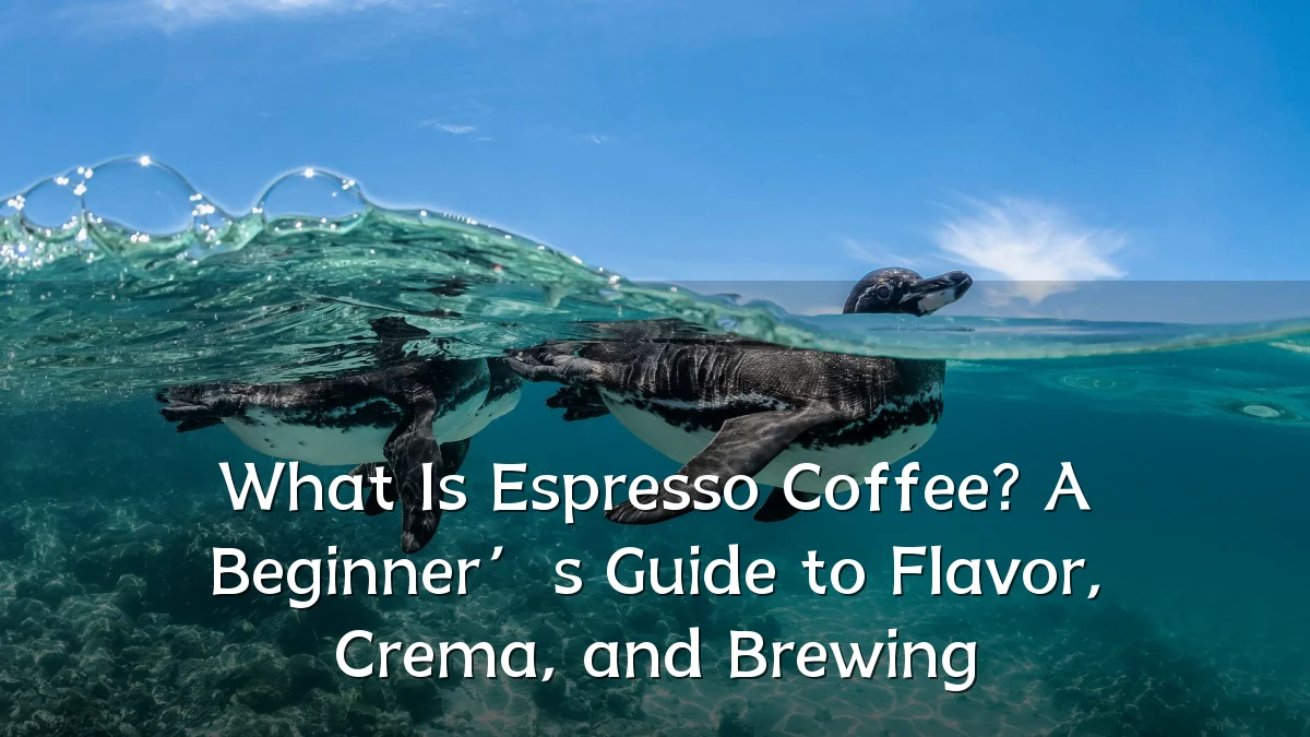 What Is Espresso Coffee? A Beginner’s Guide to Flavor, Crema, and Brewing