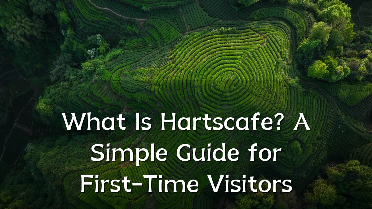 What Is Hartscafe? A Simple Guide for First-Time Visitors