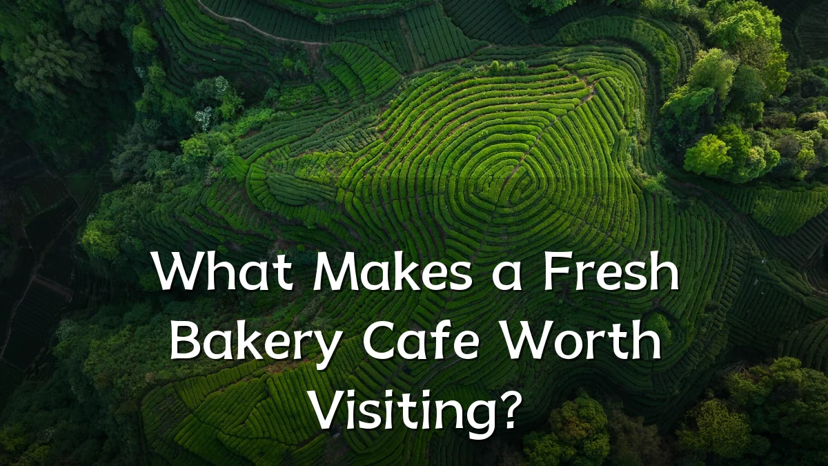 What Makes a Fresh Bakery Cafe Worth Visiting?